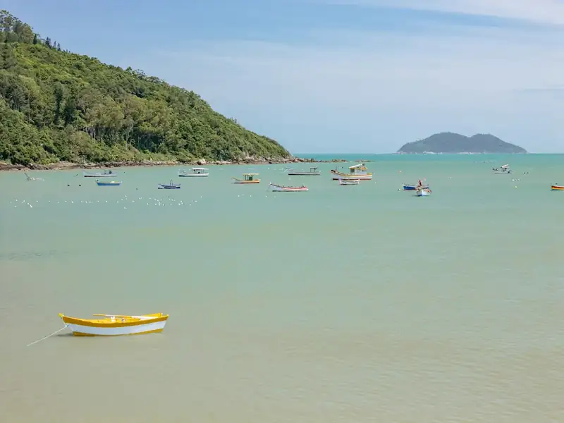 Barcos ancorados em água calma e verde da baía, com morro coberto de mata